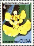 [Orchids, tip DAT]