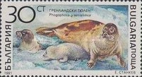 [Marine Mammals, Tipi ENH]