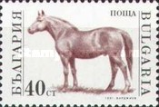 [Domestic Animals, タイプ ELZ]