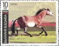 [Horses, タイプ ELE]