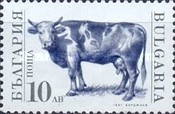 [Domestic Animals, タイプ EKL]