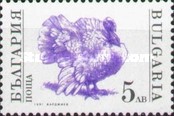[Domestic Animals, type EKK]