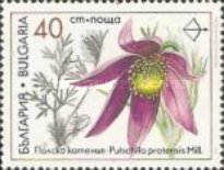 [Medicinal Plants, Tipi ENC]