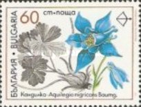 [Medicinal Plants, Tipi ENE]