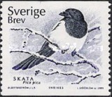[Birds, type BMC]