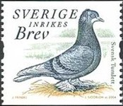 [Doves and Pigeons, Вид BTG]