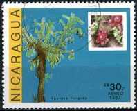 [Airmail - Cacti, tip BXI]