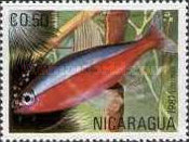 [Tropical Fish, Typ BCN]
