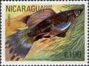 [Tropical Fish, Typ BCO]