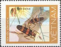 [Beetles, type AM]