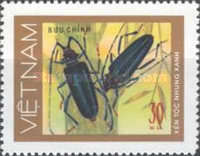 [Beetles, type AN]