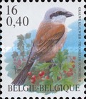 [Birds, Tüüp CGX]