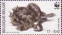 [World Wildlife Foundation, Вид CHN]