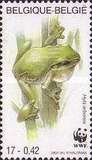 [World Wildlife Foundation, Вид CHO]