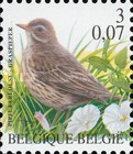 [Birds, type CIJ]