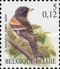 [Birds, type CIK]