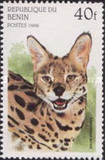 [Wild Cats, Typ TD]