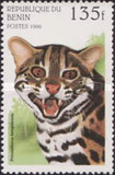 [Wild Cats, Typ TH]