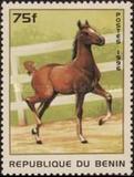 [Horses, type UD]