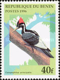 [Birds, 类型 UN]