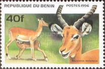 [Mammals, type VB]