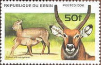[Mammals, type VC]