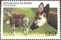 [Mammals, type VF]