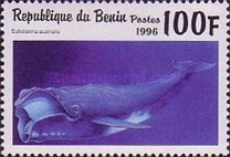 [Marine Mammals, Typ VK]