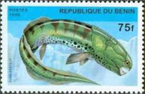 [Prehistoric Animals, type UJ]