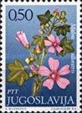 [Flowers, タイプ BER]
