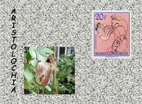 [Definitive Issues - Flowers, प्रकार EW]