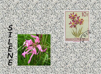 [Definitive Issues - Flowers, प्रकार EV]