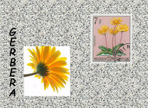 [Definitive Issues - Flowers, प्रकार ET]