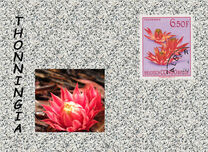 [Definitive Issues - Flowers, प्रकार ES]