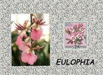 [Definitive Issues - Flowers, प्रकार EJ]