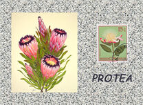 [Definitive Issues - Flowers, प्रकार EE]