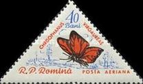 [Butterflies & Moths, тып BTI]
