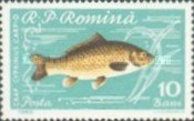 [Fish, タイプ BTP]