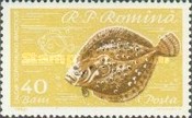 [Fish, タイプ BTR]