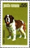 [Dog Show "Canina", type FFS]