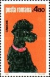 [Dog Show "Canina", type FFX]