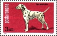 [Dog Show "Canina", type FFW]