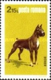 [Dog Show "Canina", type FFV]