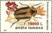 [Insects - Beetles Stamp of 1996 Surcharged, Typ HKW2]
