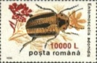 [Insects - Beetles Stamp of 1996 Surcharged, Typ HKW1]
