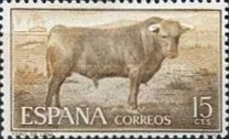[Bull Fighting, type ASR]