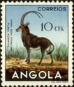 [Angolan Fauna, タイプ DB]