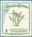 [Colombian Orchids, प्रकार OJ]