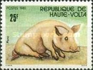 [Animaux domestiques, type ABJ]