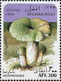 [Mushrooms, type ALR]